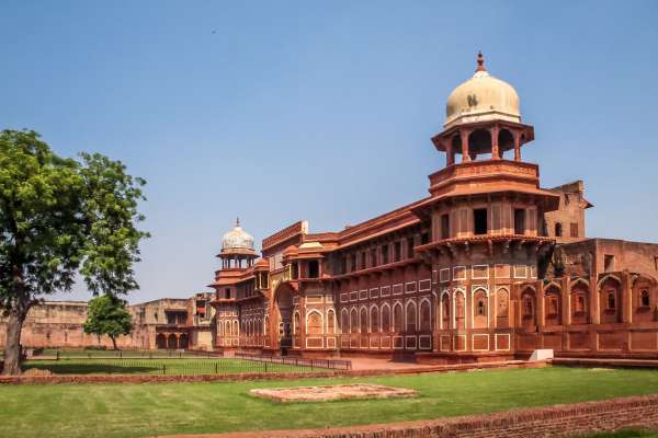 India Tour With Driver