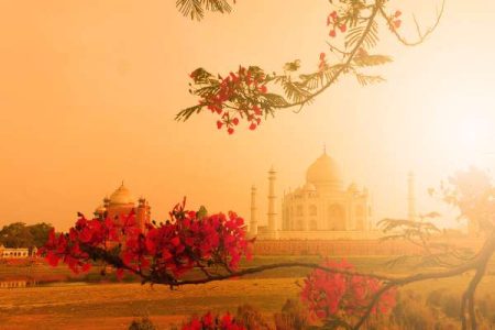 Taj Mahal: The Timeless Symbol of Love in India