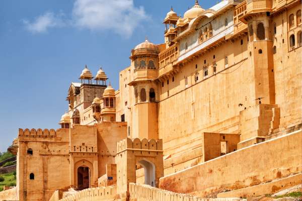 India Tour With Driver