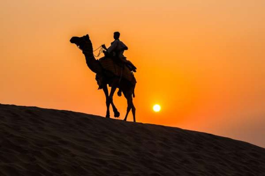 Rajasthan Desert